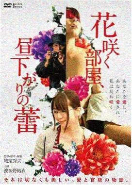 雾港旧事手机在线